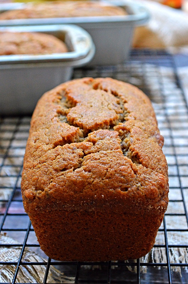 Gluten Free Vegan Banana Bread - Breezy Bakes